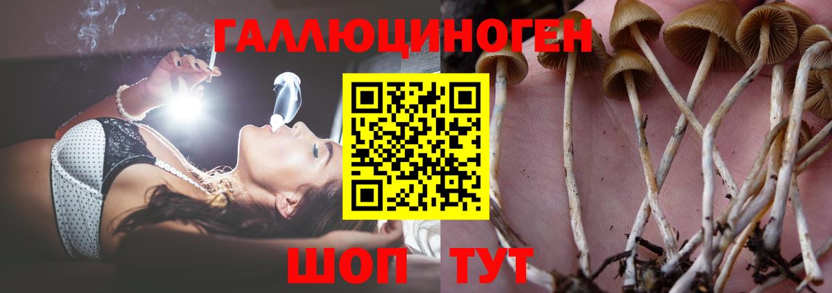 Псилоцибиновые грибы мицелий Строитель